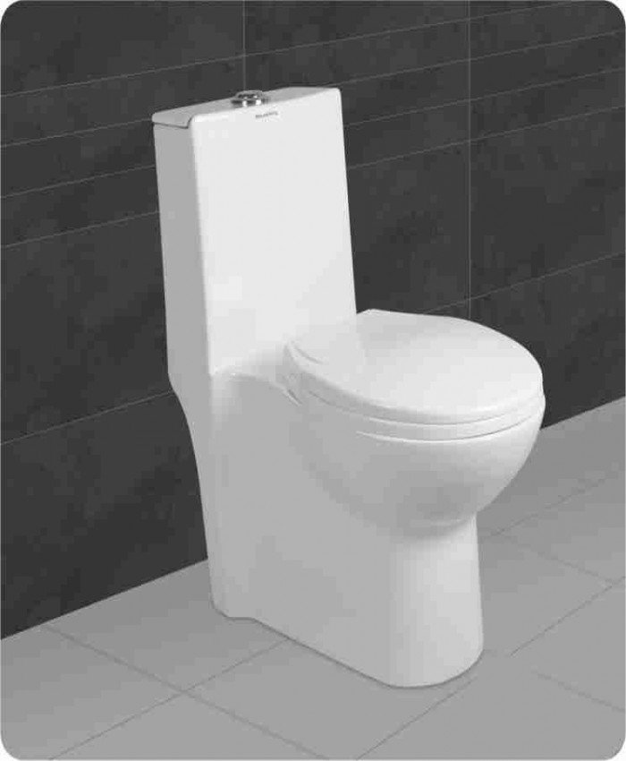 Western toilet, BM BELMONTE Ceramic Floor Mounted Rimless One Piece western Toilet/Commode/Water Closet